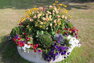 Sumer Planter